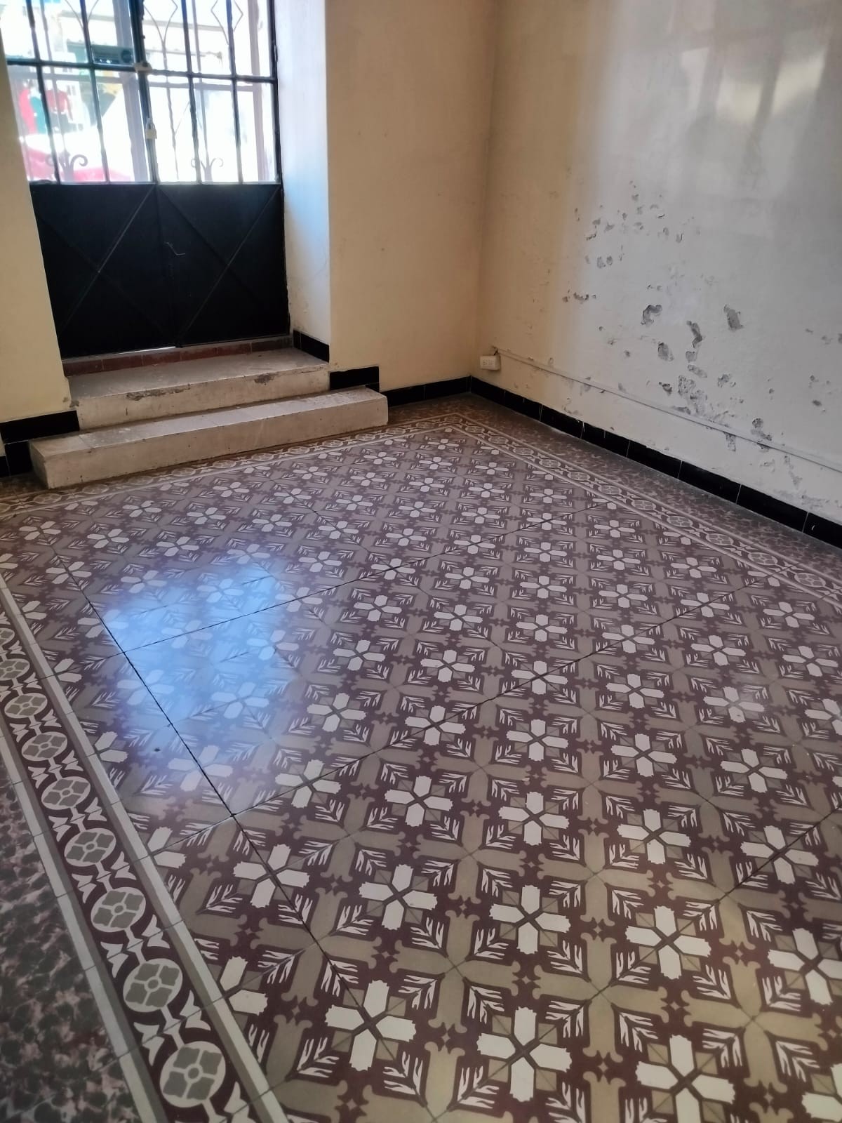 Tiene 338 metros de terreno y 320 de construcción en 1 solo nivel.
La construcción cuenta con varias habitaciones de diferentes medidas, recepción 4 privados, bodegas, patio central, cochera y local independiente.
Es una construcción antigua pero muy bien conservada ya que funcionaba como laboratorio de análisis clínicos.
Se muestra con cita cualquier día de la semana de lunes a domingo.