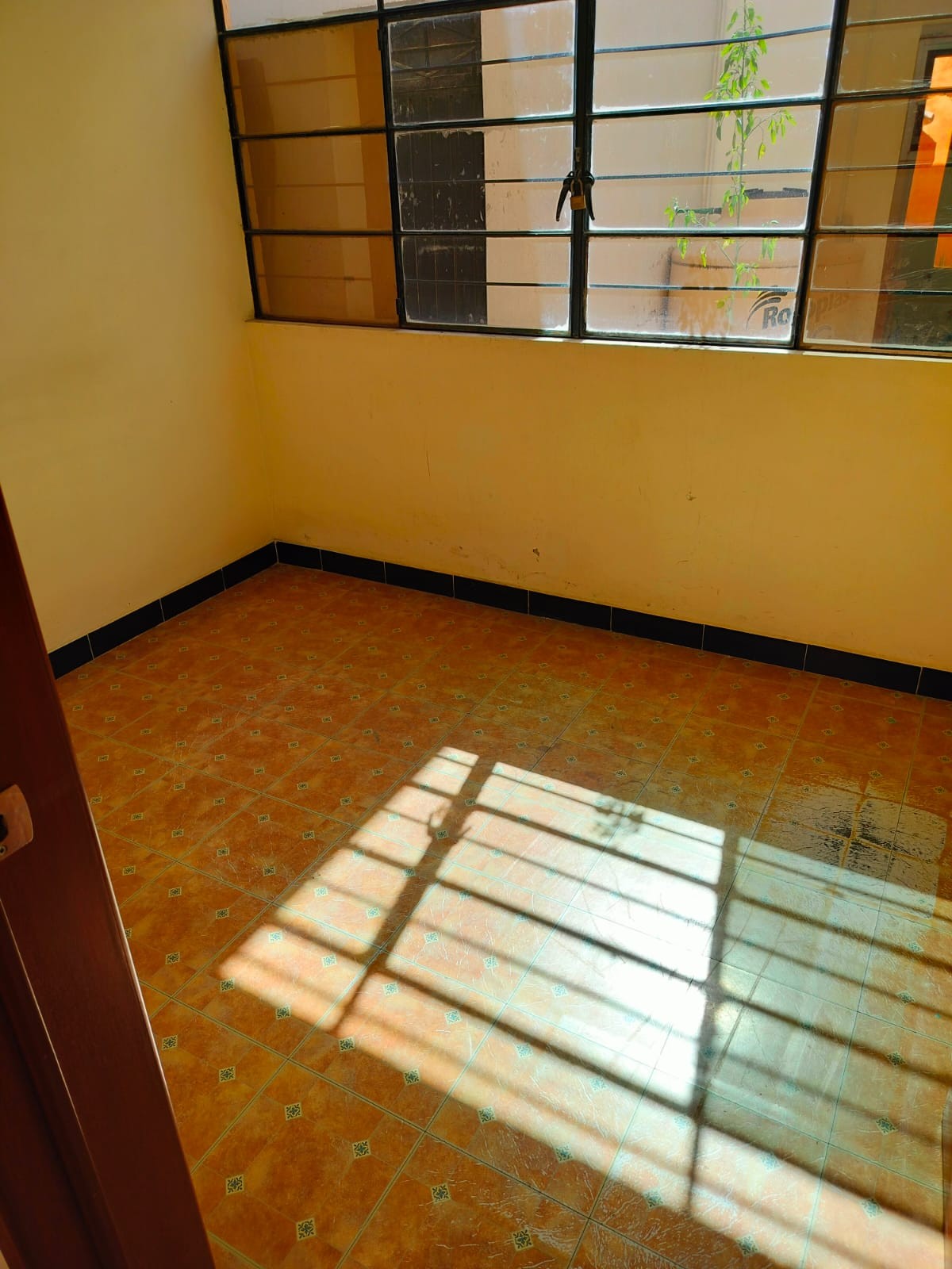 Tiene 338 metros de terreno y 320 de construcción en 1 solo nivel.
La construcción cuenta con varias habitaciones de diferentes medidas, recepción 4 privados, bodegas, patio central, cochera y local independiente.
Es una construcción antigua pero muy bien conservada ya que funcionaba como laboratorio de análisis clínicos.
Se muestra con cita cualquier día de la semana de lunes a domingo.