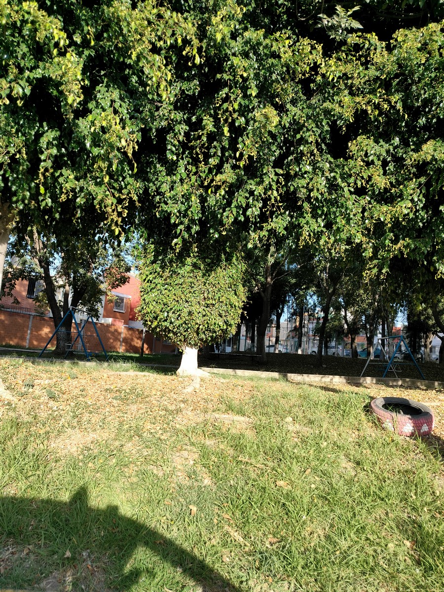 Fraccionamiento con vigilancia privada 24 horas y acceso restringido, con 3500 metros de áreas verdes para uso exclusivo de los habitantes del fraccionamiento.
Es una casa en Esquina tiene 2 recámaras, sala comedor, cocina ampliada, zotehuela, espacio para medio baño en PB, Baño completo arriba, cochera para 1 auto y área de lavado, tiene el uso exclusivo de un extra de terreno el cual no entra en escrituras pero se usa como patio de la casa.
Tiene cisterna con bomba y gas natural.