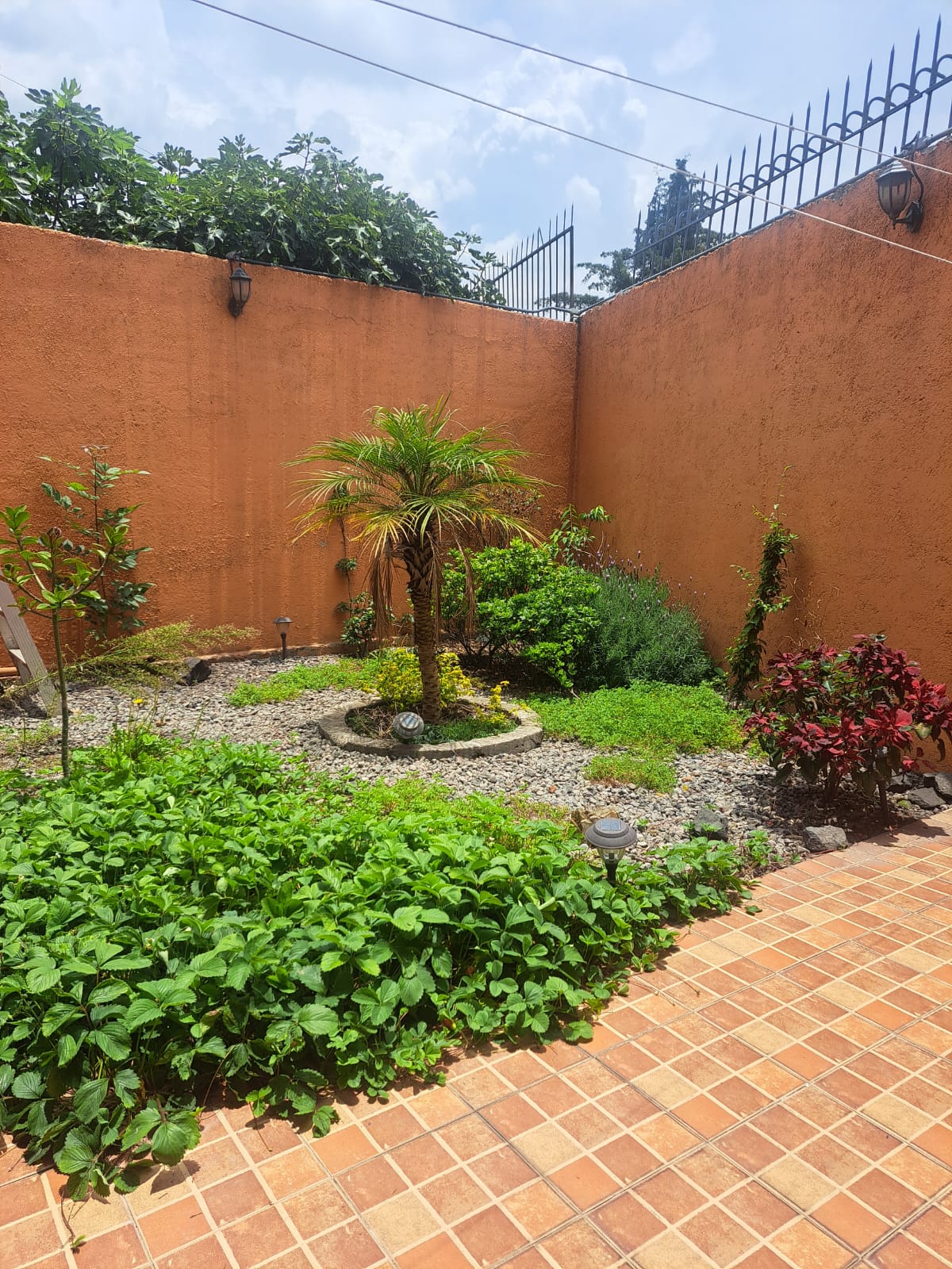 ¡Hermosa Casa en Venta!
Precio: $11,000,000.00
Descripción:
Terreno: 692.20 m².
Construcción: 300.27 m².
3 recámaras.
Sala a doble altura.
Comedor.
Chimenea.
4½ baños.
Cocina integral abierta.
Cuarto de lavado.
Estudio.
Bodega.
Estacionamiento para 5 autos.
Porche hacia el jardín.
Jardín frontal y trasero.
Zona de asador.
Gas LP.
Escritura pública, planos, todo pagado.
Documentos en regla.
14 años de antigüedad.