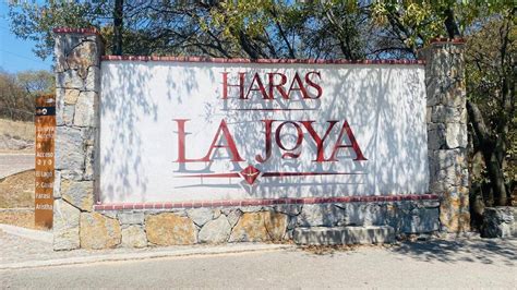 Vendo excelente oportunidad, terreno en fraccionamiento La Joya, en Haras del Bosque a unos pasos de la segunda entrada
de Haras. Fácil acceso a Periférico, Federal a Tehuacán y Autopista México Puebla.
CONTACTO:  2221767909
Haras es un fraccionamiento con un concepto de vida natural, cerca del bosque.
CONTACTO: 2221767909
El terreno se encuentra en el fraccionamiento La Joya
De forma rectangular, con amplio frente
Cuenta con 800 m2
20 metros de frente
40 metros de fondo
Negociable