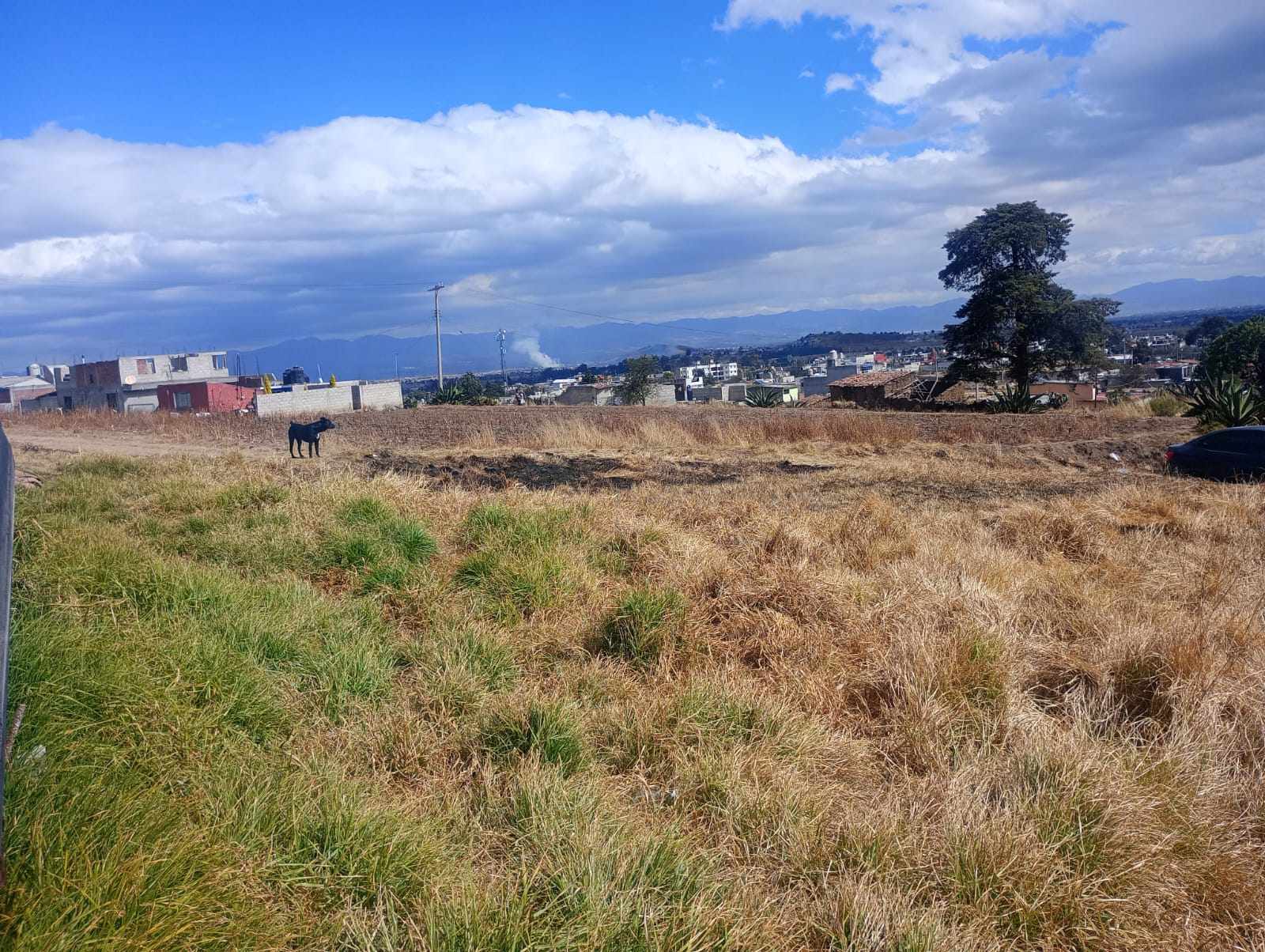 Entra al link de WhatsApp para más información: https://wa.link/9ljjw1
TERRENO EN VENTA
SANTIAGUITO TLALCILALCALI. Almoloya de Juárez
T. 351 m²
$1,500 m²
ES PROPIEDAD.