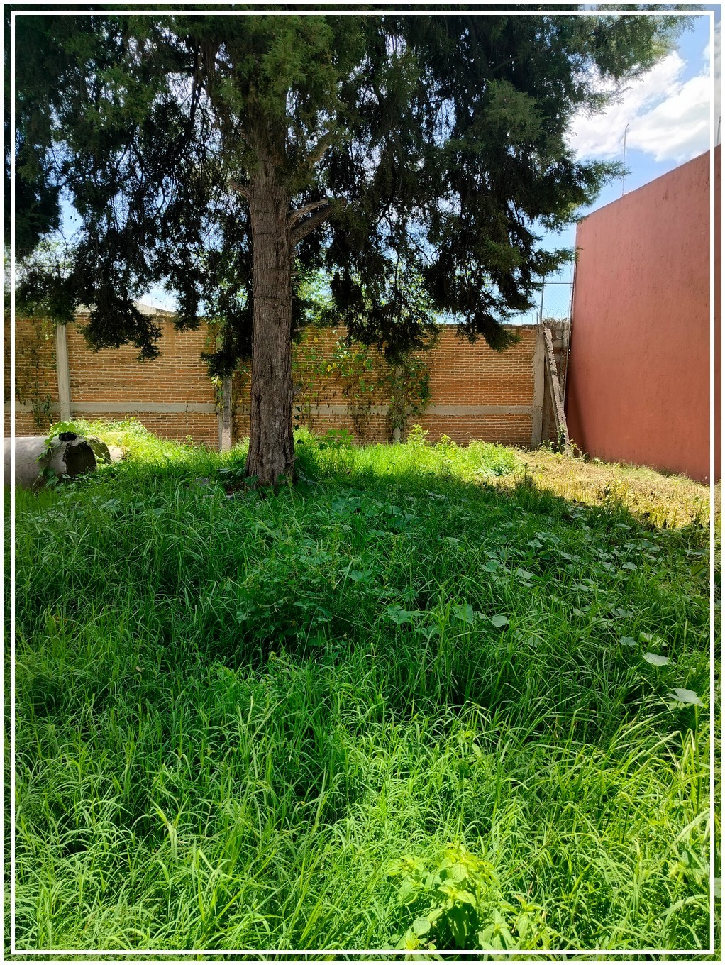 Servicios Premium: El terreno cuenta con acceso restringido con vigilancia privada, cancha multi usos, casa club, área infantil, servicios como agua potable, electricidad, internet y está rodeado de áreas verdes y espacios boscosos recreativos que garantizan una calidad de vida excepcional.
Entorno Exclusivo: La comunidad circundante está compuesta por residencias de buen nivel y ofrece una vida social vibrante y elegante. Además, tendrás acceso a la casa club, que complementan el estilo de vida