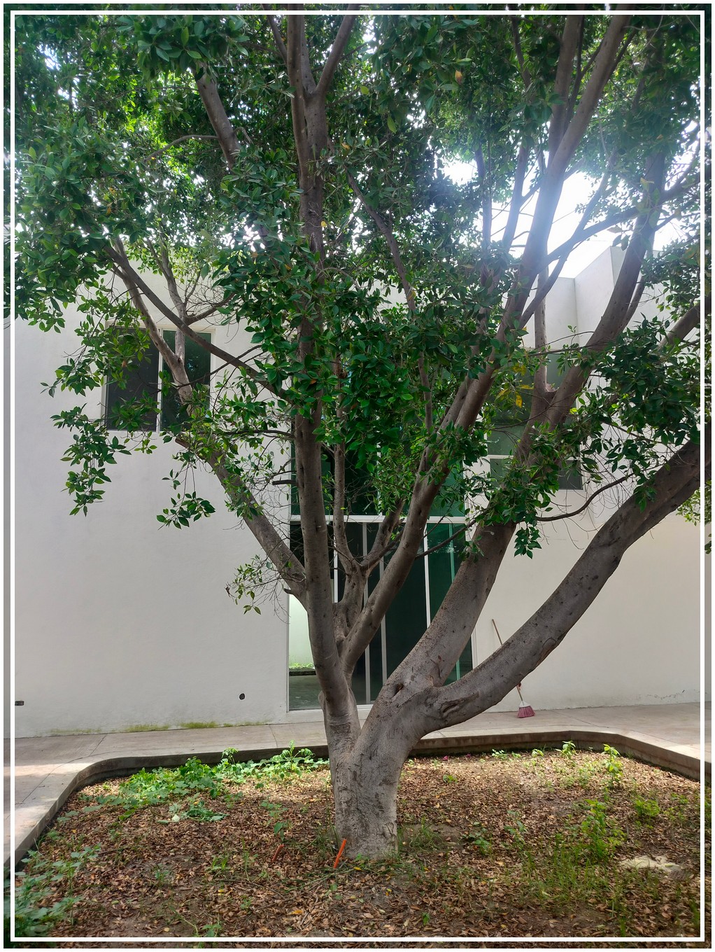 Vendo Residencia Nueva de Arquitectura única En Puebla
$3,200,000
Estrena esta hermosa residencia de diseño arquitectónico único, que desde su facha refleja la singularidad y belleza que solo una propiedad así te entrega, aparte de su imponente diseño, también maximiza espacios que harán que tu familia disfrute cada uno de ellos, maximizando tu inversión en esta excelente propiedad.
Se encuentra en fraccionamiento Residencial cerrado con vigilancia privada, cerca del periférico ecológico, en