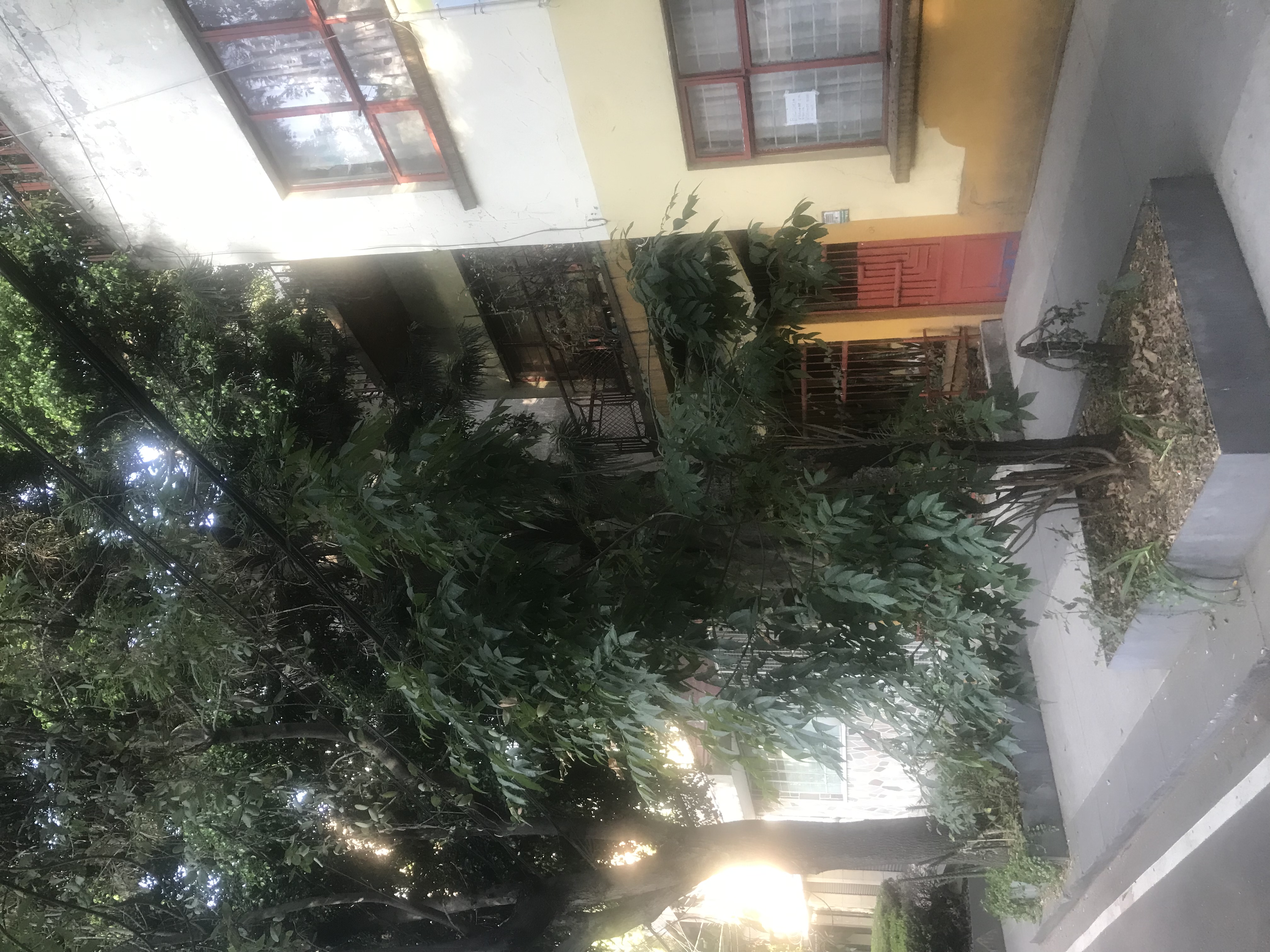 EN COL. CONDESA,  con 240 M2 de terreno (frente de 12 M) y 320 M2 construidos ; orientación oriente-poniente.
Sólida construcción de 1939, con cimentación y capacidad de ampliación de dos niveles más, y sin ninguna afectación por temblores de 1985 y 2017.